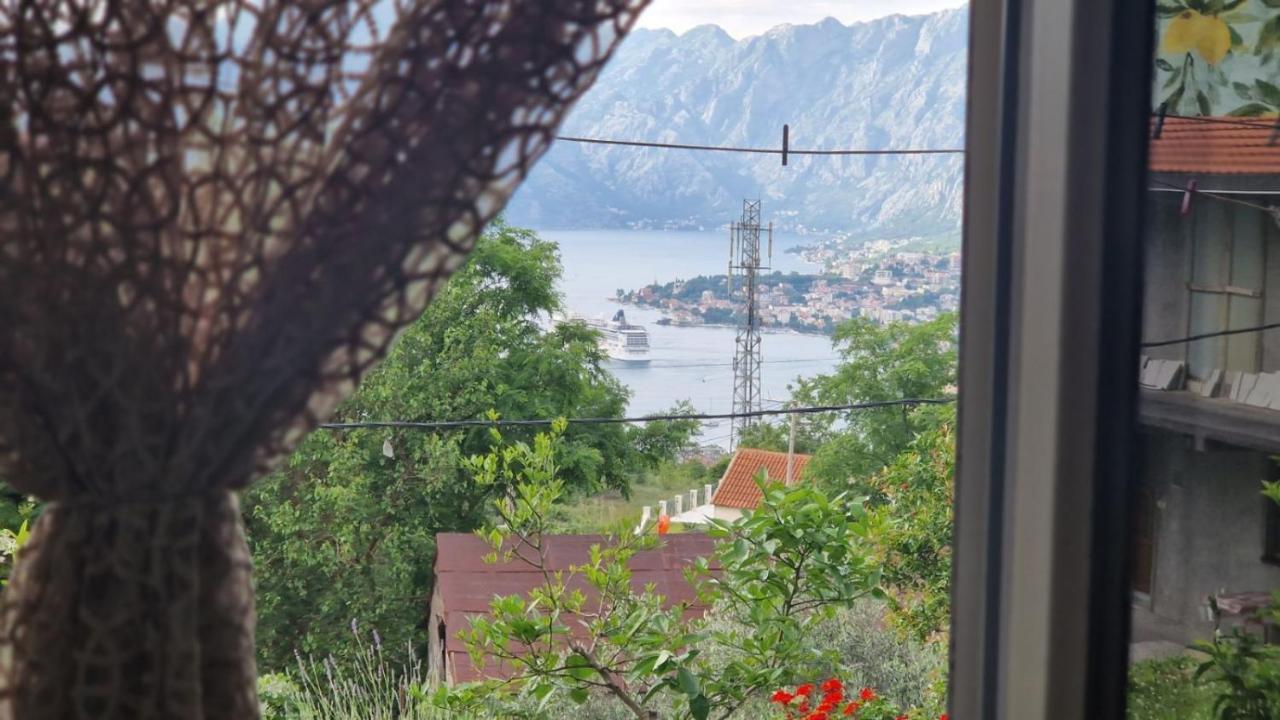 Happy Star Apartments Kotor Bagian luar foto