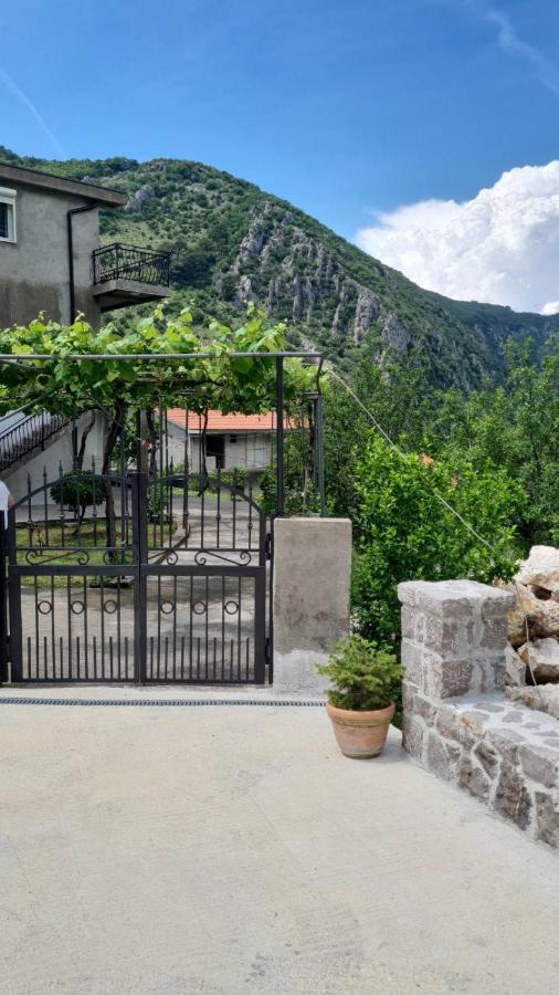 Happy Star Apartments Kotor Bagian luar foto